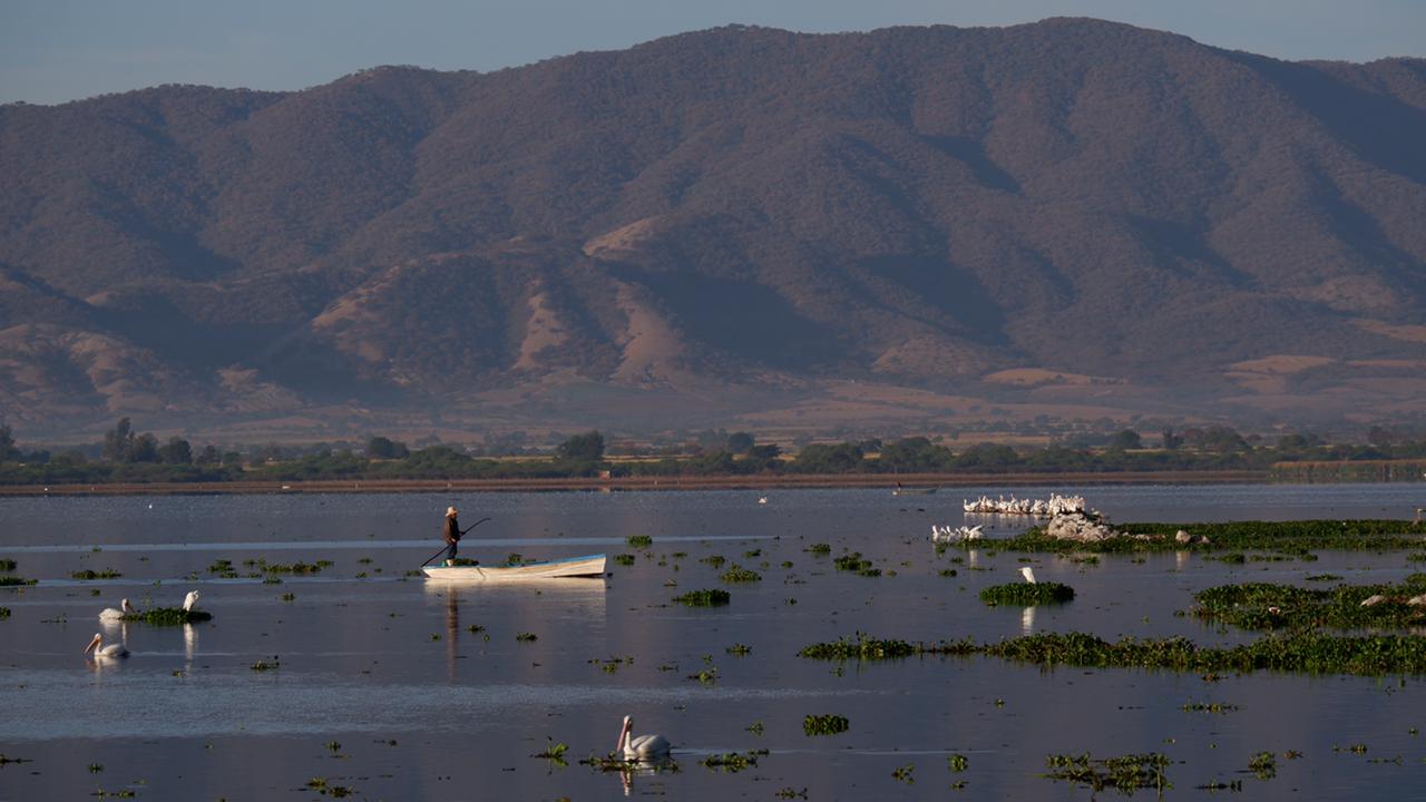 SADER Jalisco entregó recursos a pescadores de la Presa de la Vega